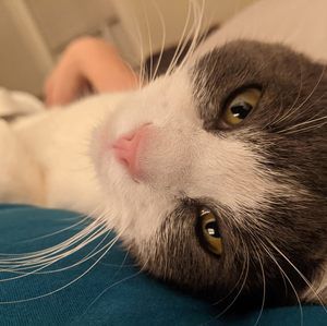 Meet your Posher, Rebecca